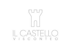 Il Castello Visconteo - Home page